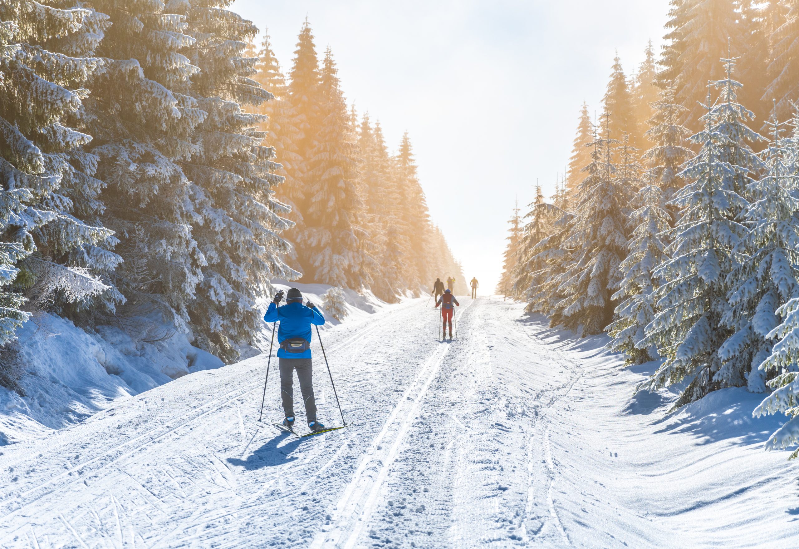 people cross country skiing in winter