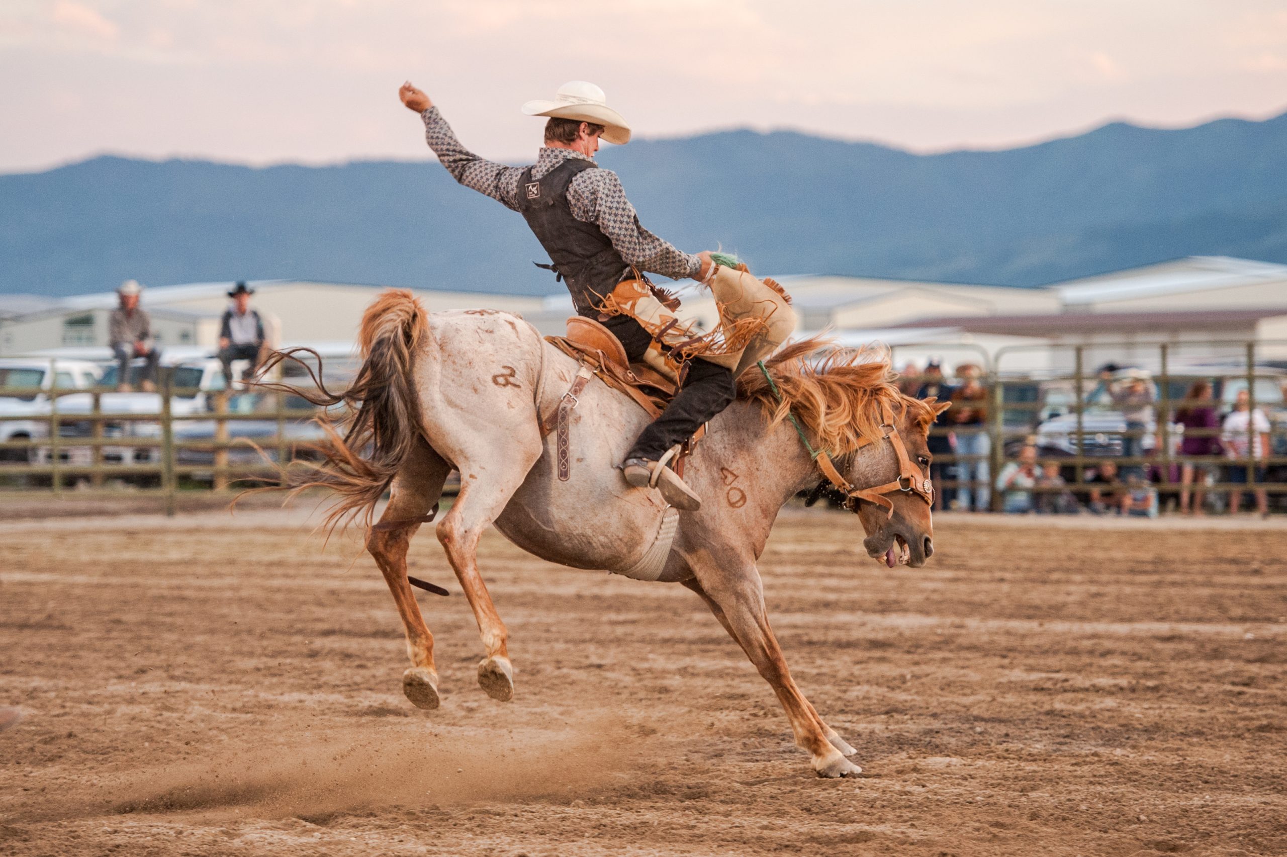Rodeos & Fairs in Eastern Idaho